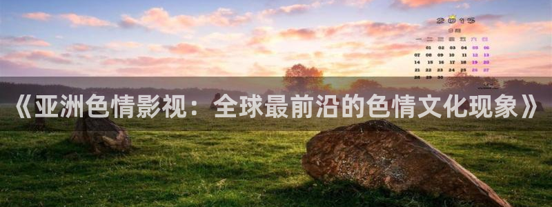 精品麻豆電影：《亞洲色情影視：全球最前沿的色情文化現(xiàn)象》