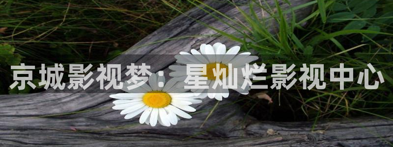 神馬影院達達兔91麻豆